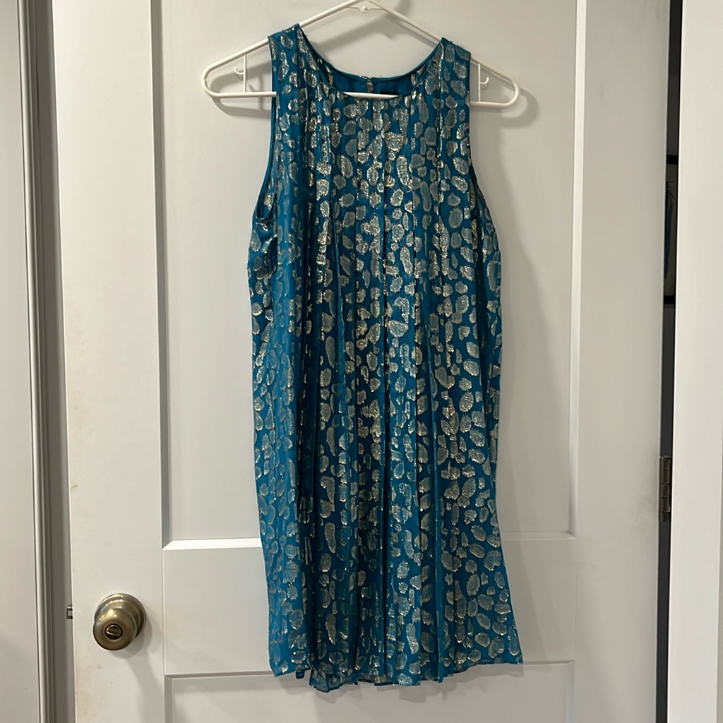 S+B Metallic Pleated Leopard Print On Blue Dress (From Anthropologie)